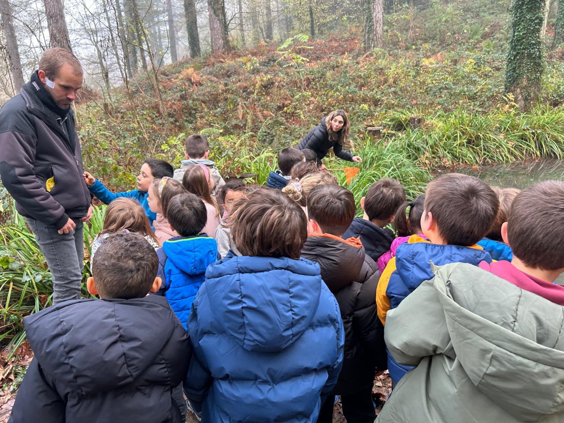 4 ETA 5 URTEKO HAURRAK NATUR ESKOLAN